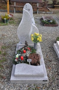 cineraire_simple