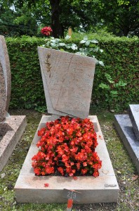 cineraire_simple