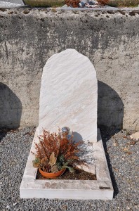 cineraire_simple