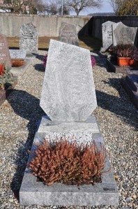 cineraire_simple